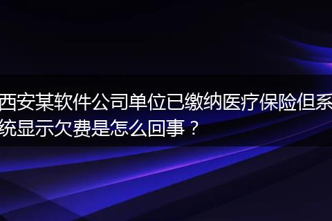 西安某软件公司单位已缴纳医疗保险但系统显示欠费是怎么回事？
