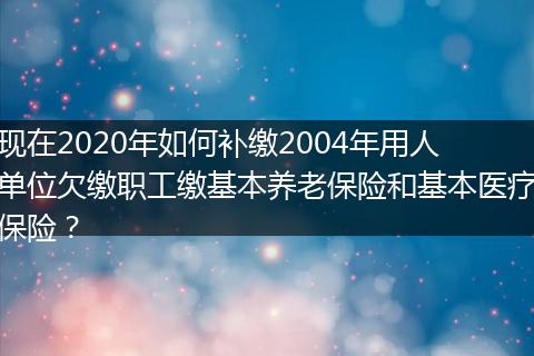 现在2020年如何补缴2004年用人单位欠缴职工缴基本养老保险和基本医疗保险？