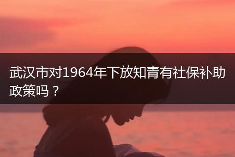 武汉市对1964年下放知青有社保补助政策吗？