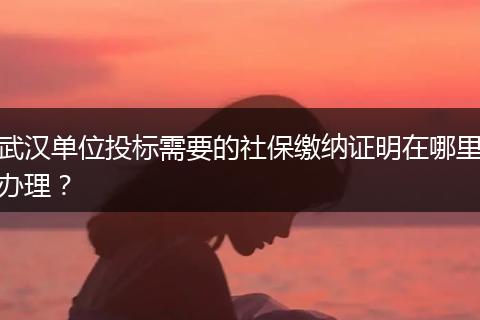 武汉单位投标需要的社保缴纳证明在哪里办理？