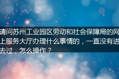 请问苏州工业园区劳动和社会保障局的网上服务大厅办理什么事情的，一直没有进去过，怎么操作？