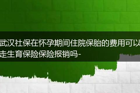 武汉社保在怀孕期间住院保胎的费用可以走生育保险保险报销吗-