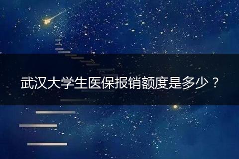 武汉大学生医保报销额度是多少？