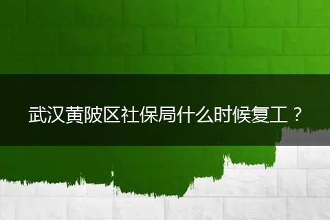 武汉黄陂区社保局什么时候复工？