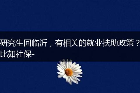 研究生回临沂，有相关的就业扶助政策？比如社保-
