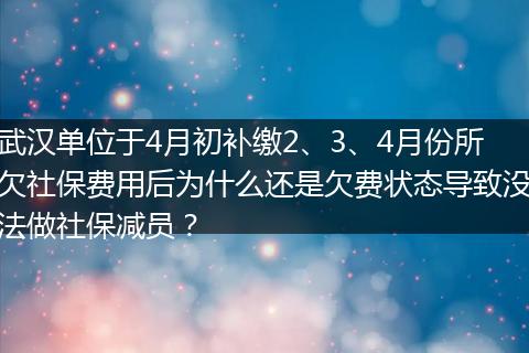 武汉单位于4月初补缴2、3、4月份所欠社保费用后为什么还是欠费状态导致没法做社保减员？