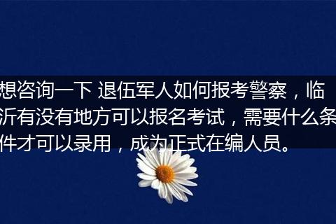 想咨询一下 退伍军人如何报考警察，临沂有没有地方可以报名考试，需要什么条件才可以录用，成为正式在编人员。