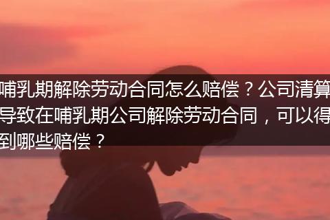 哺乳期解除劳动合同怎么赔偿？公司清算导致在哺乳期公司解除劳动合同，可以得到哪些赔偿？