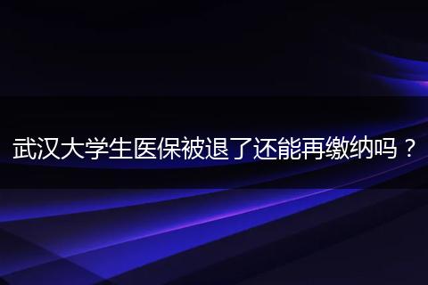 武汉大学生医保被退了还能再缴纳吗？
