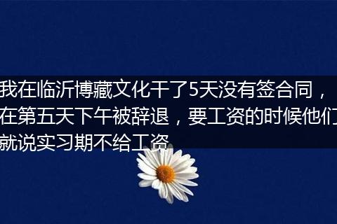 我在临沂博藏文化干了5天没有签合同，在第五天下午被辞退，要工资的时候他们就说实习期不给工资