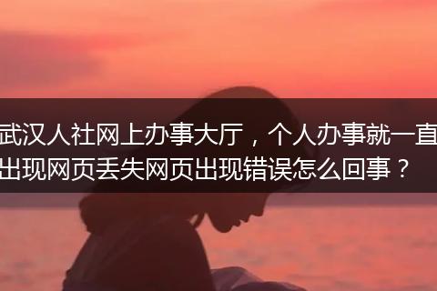 武汉人社网上办事大厅，个人办事就一直出现网页丢失网页出现错误怎么回事？