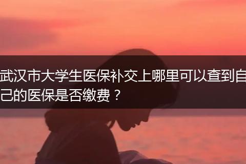 武汉市大学生医保补交上哪里可以查到自己的医保是否缴费？