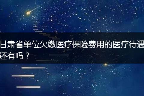 甘肃省单位欠缴医疗保险费用的医疗待遇还有吗？