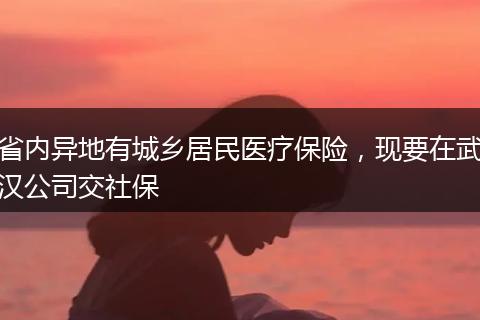 省内异地有城乡居民医疗保险，现要在武汉公司交社保