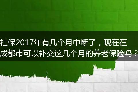 社保2017年有几个月中断了，现在在成都市可以补交这几个月的养老保险吗？