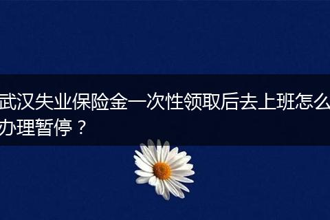 武汉失业保险金一次性领取后去上班怎么办理暂停？