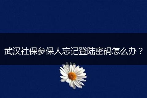 武汉社保参保人忘记登陆密码怎么办？