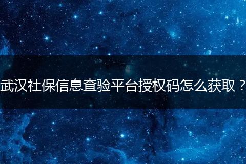 武汉社保信息查验平台授权码怎么获取？