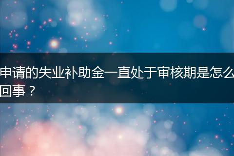 申请的失业补助金一直处于审核期是怎么回事?