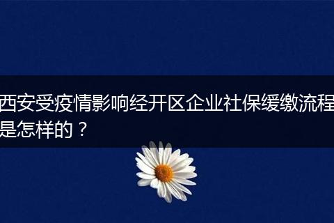 西安受疫情影响经开区企业社保缓缴流程是怎样的?