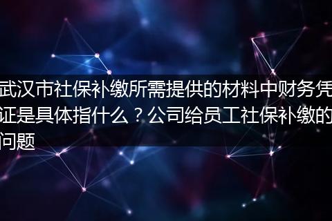 武汉市社保补缴所需提供的材料中财务凭证是具体指什么？公司给员工社保补缴的问题