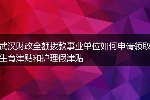武汉财政全额拨款事业单位如何申请领取生育津贴和护理假津贴