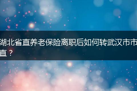 湖北省直养老保险离职后如何转武汉市市直？