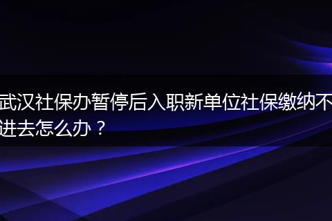 武汉社保办暂停后入职新单位社保缴纳不进去怎么办？