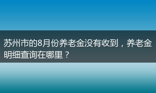 苏州市的8月份养老金没有收到，养老金明细查询在哪里？