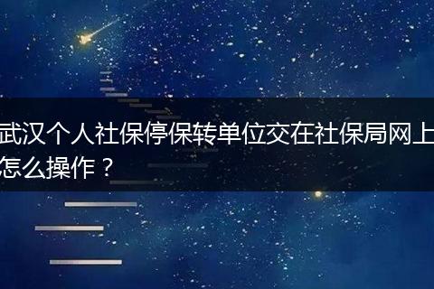 武汉个人社保停保转单位交在社保局网上怎么操作？