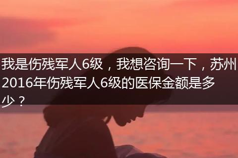 我是伤残军人6级，我想咨询一下，苏州2016年伤残军人6级的医保金额是多少？