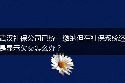 武汉社保公司已统一缴纳但在社保系统还是显示欠交怎么办？