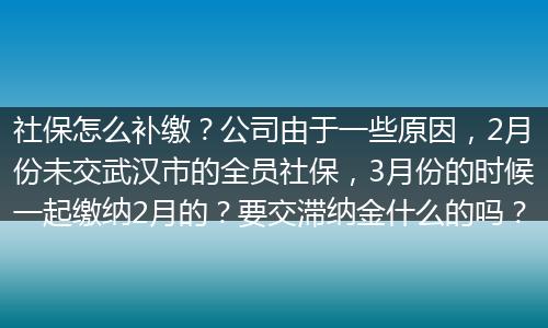 社保怎么补缴？公司由于一些原因，2月份未交武汉市的全员社保，3月份的时候一起缴纳2月的？要交滞纳金什么的吗？