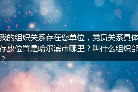 我的组织关系存在您单位，党员关系具体存放位置是哈尔滨市哪里？叫什么组织部？