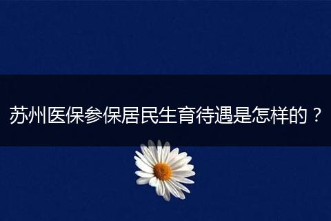 苏州医保参保居民生育待遇是怎样的？
