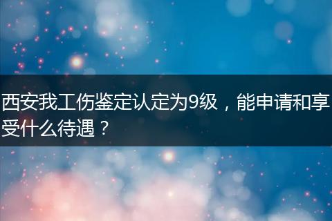 西安我工伤鉴定认定为9级，能申请和享受什么待遇？