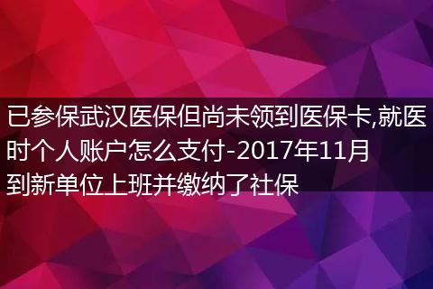 已参保武汉医保但尚未领到医保卡,就医时个人账户怎么支付-2017年11月到新单位上班并缴纳了社保