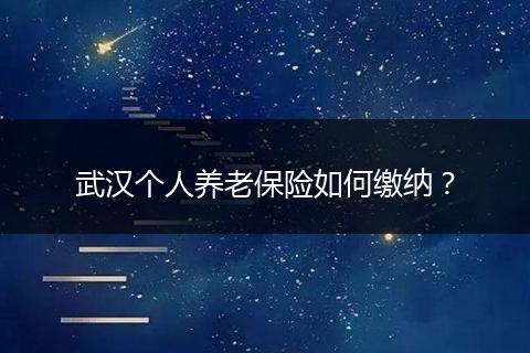 武汉个人养老保险如何缴纳？