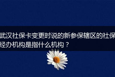 武汉社保卡变更时说的新参保辖区的社保经办机构是指什么机构？