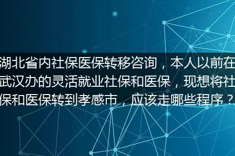 湖北省内社保医保转移咨询，本人以前在武汉办的灵活就业社保和医保，现想将社保和医保转到孝感市，应该走哪些程序？