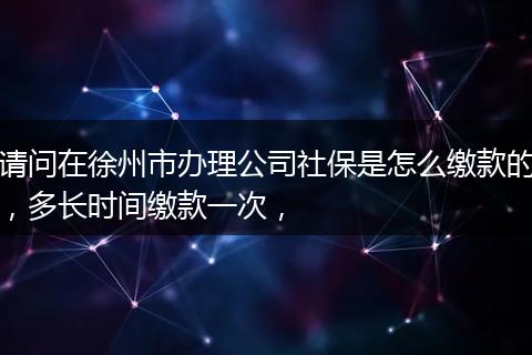 请问在徐州市办理公司社保是怎么缴款的，多长时间缴款一次，