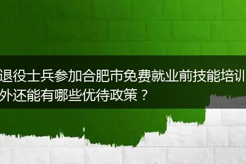 退役士兵参加合肥市免费就业前技能培训外还能有哪些优待政策？