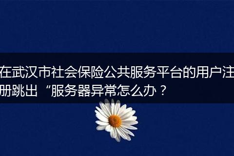 在武汉市社会保险公共服务平台的用户注册跳出“服务器异常怎么办？