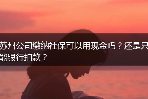 苏州公司缴纳社保可以用现金吗？还是只能银行扣款？
