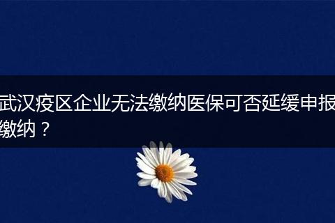 武汉疫区企业无法缴纳医保可否延缓申报缴纳？