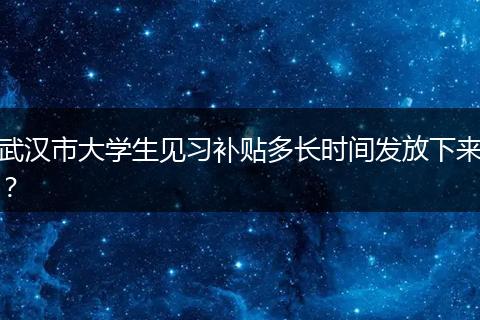 武汉市大学生见习补贴多长时间发放下来？