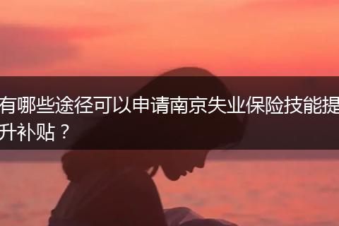 有哪些途径可以申请南京失业保险技能提升补贴？