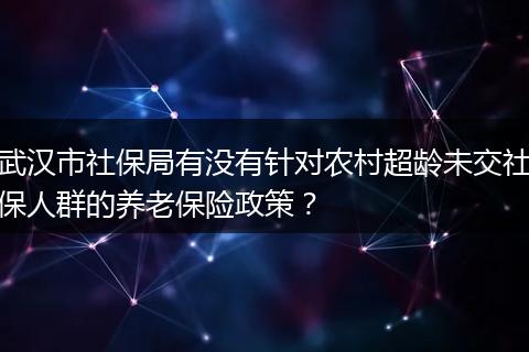 武汉市社保局有没有针对农村超龄未交社保人群的养老保险政策？