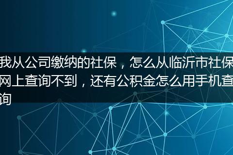 我从公司缴纳的社保，怎么从临沂市社保网上查询不到，还有公积金怎么用手机查询