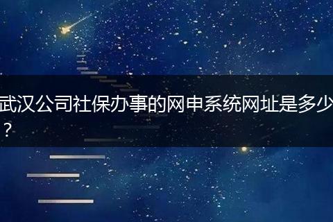 武汉公司社保办事的网申系统网址是多少？